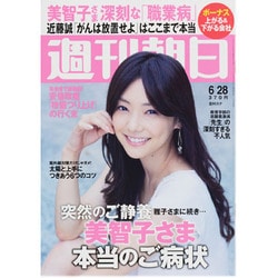 週刊朝日 2013年 6/28号 [雑誌]