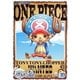 ONE PIECE ワンピース 15THシーズン 魚人島編 PIECE.10 [DVD]