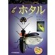 ホタル(いのちのかんさつ〈6〉) [全集叢書]