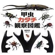 甲虫 カタチ観察図鑑 [単行本]