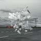 WHITE ASH／Crowds