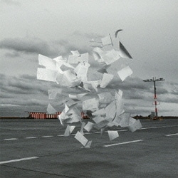 WHITE ASH／Crowds