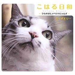 こはる日和―うちのおしゃべり4にゃんず [単行本]