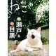 ねこ 2013年 08月号 [雑誌]