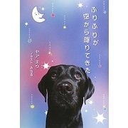 ふりふりが空から降りてきた [単行本]