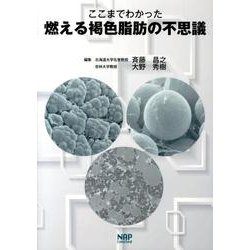 ここまでわかった燃える褐色脂肪の不思議 [単行本]