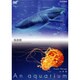 NHK-DVD水族館～An Aquarium～海遊館[DVD