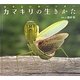 カマキリの生きかた―さすらいのハンター(小学館の図鑑NEOの科学絵本) [絵本]