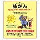 肺がん―完治をめざす最新治療ガイド(健康ライブラリーイラスト版) [全集叢書]