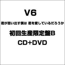 ヨドバシ Com 君が思い出す僕は 君を愛しているだろうか 通販 全品無料配達