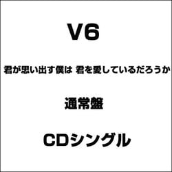 ヨドバシ Com 君が思い出す僕は 君を愛しているだろうか 通販 全品無料配達