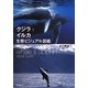 クジラ&イルカ生態ビジュアル図鑑 [全集叢書]