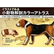 イラストでみる小動物解剖カラーアトラス [単行本]
