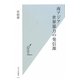 南アジア 世界暴力の発信源(光文社新書) [新書]