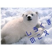 しろくまのこえ(幻冬舎エデュケーションのネイチャーブック) [絵本]