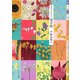 日々のいろどり花手帖 [単行本]