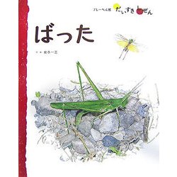 ばった(フレーベル館だいすきしぜん むし〈6〉) [絵本]