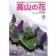 高山の花―イラストでちがいがわかる名前がわかる(自然発見ガイド) [単行本]