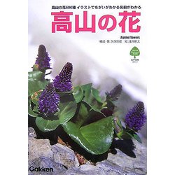 高山の花―イラストでちがいがわかる名前がわかる(自然発見ガイド) [単行本]