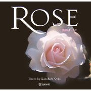ROSE―薔薇・バラ [単行本]