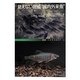 見えない脅威"国内外来魚"―どう守る地域の生物多様性(叢書・イクチオロギア) [全集叢書]