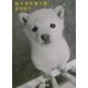 捨て犬を救う街(角川文庫) [文庫]