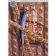 厄落とし(角川ホラー文庫) [文庫]