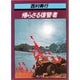 帰らざる復讐者（角川文庫 緑 407-16） [文庫]