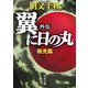 翼に日の丸 外伝 極光篇(角川文庫) [文庫]