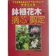 鉢植花木の摘芯と剪定―プロが教えるコンテナガーデニングテクニック [単行本]