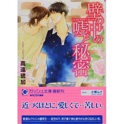 壁の中の嘘と秘密(ガッシュ文庫) [文庫]