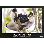 MADAGASCAR―マダガスカル [単行本]