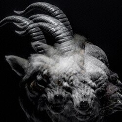 the GazettE／BEAUTIFUL DEFORMITY
