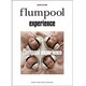 flumpool experience（バンドスコア） [単行本]