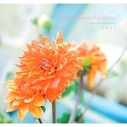 What a Wonderful World! [単行本]