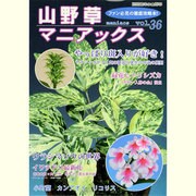 山野草マニアックス vol.36－ファン必見の徹底攻略本!（別冊趣味の山野草） [ムックその他]