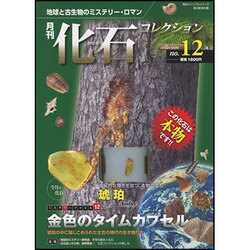ヨドバシ.com - 月刊化石コレクション no.12－地球と古生物の