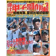 輝け甲子園の星 2013年 09月号 [雑誌]