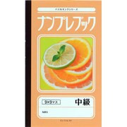 ナンプレブック 中級(パズルキングシリーズ) [新書]