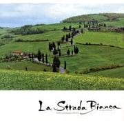 La Strada Bianca－Yoshii's photograph collection [単行本]