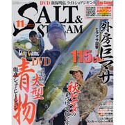 SALT & STREAM (ソルトアンドストリーム) 2013年 11月号 [雑誌]