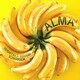 Alma～南佳孝作品集
