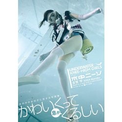 水中ニーソ [単行本]