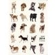 I LOVE DOGS DIARY〈2014〉 [単行本]