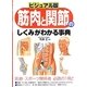 ビジュアル版 筋肉と関節のしくみがわかる事典 [単行本]