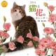 猫と花のカレンダー 2014（Yama-Kei Calendar） [単行本]