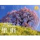 今森光彦が見つめるニッポンの里山 2014[カレンダー]（Yama-Kei Calendar） [単行本]