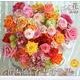 假屋崎省吾の世界花 2014[カレンダー]（Yama-Kei Calendar） [単行本]