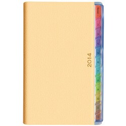 2206 ペイジェムウィークリー14(クリーム) [ムックその他]