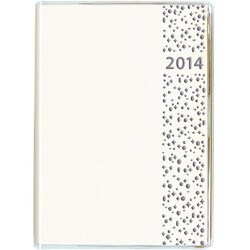 2234 ペイジェムA6ウィークリー3(ホワイト) [ムックその他]